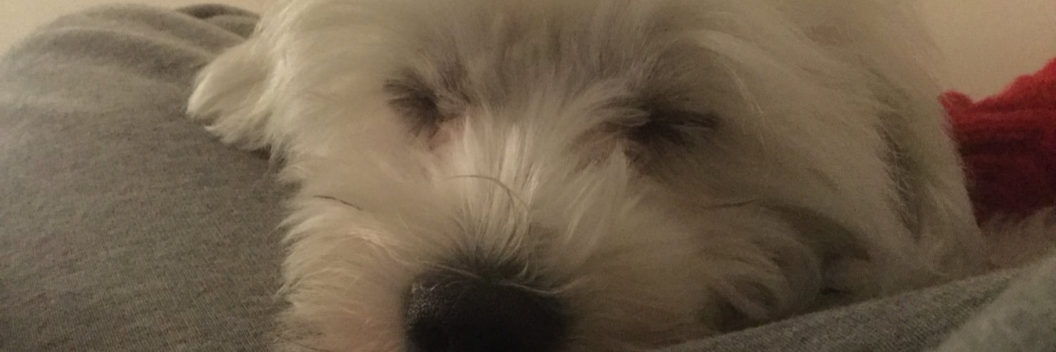 Tonic274's profile banner image