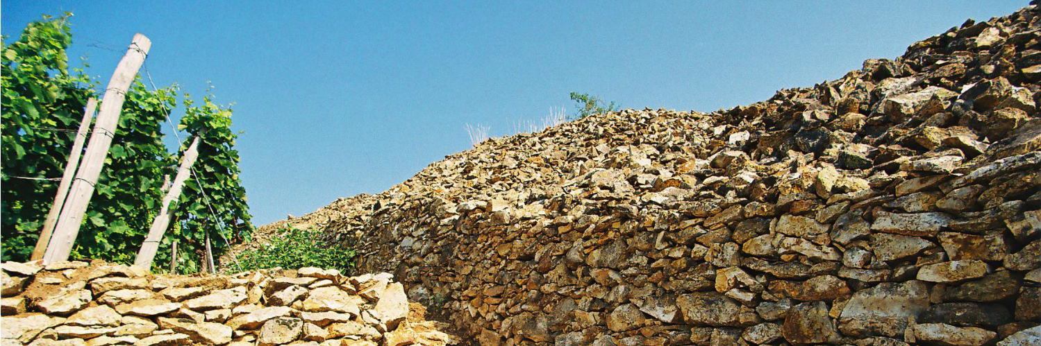 Gergely Somogyi banner