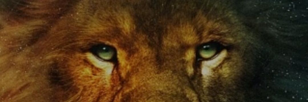 loewe2023's profile banner image