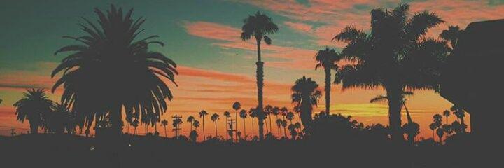 Macey_V's profile banner image