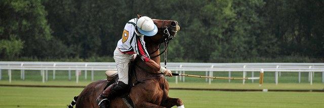 TuckAWayPolo's profile banner image