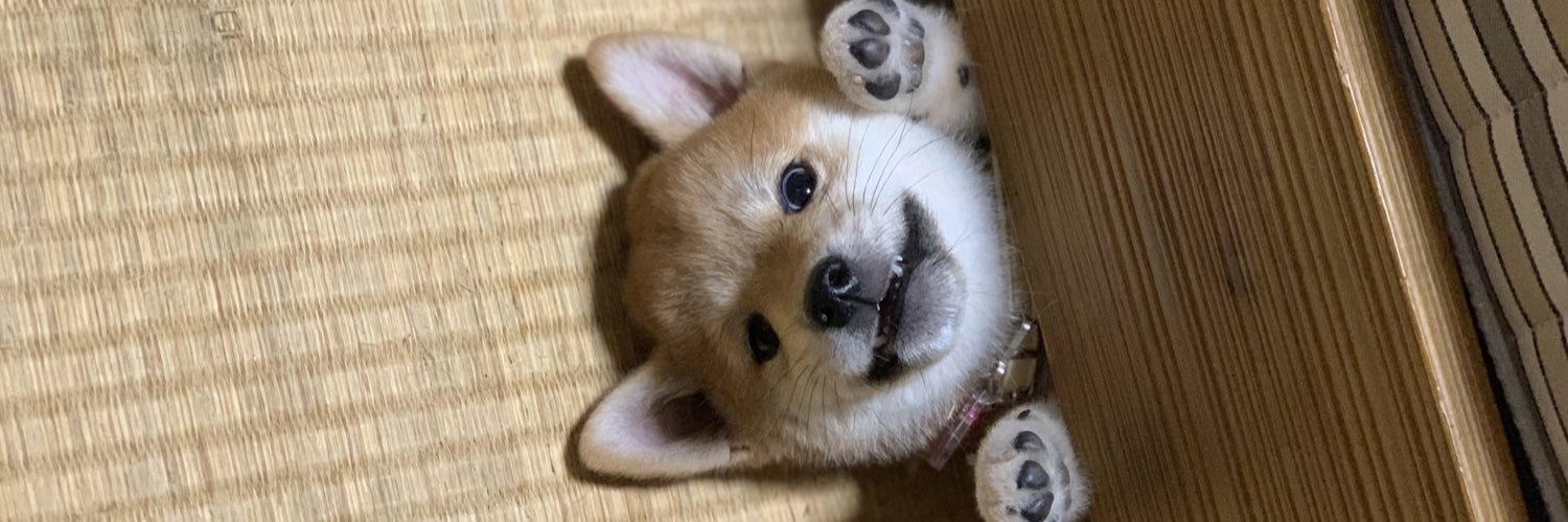sho_ta_x's profile banner image