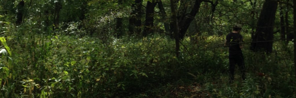 taylor banner