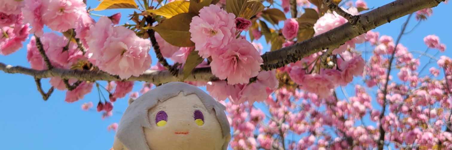 _a_light's profile banner image