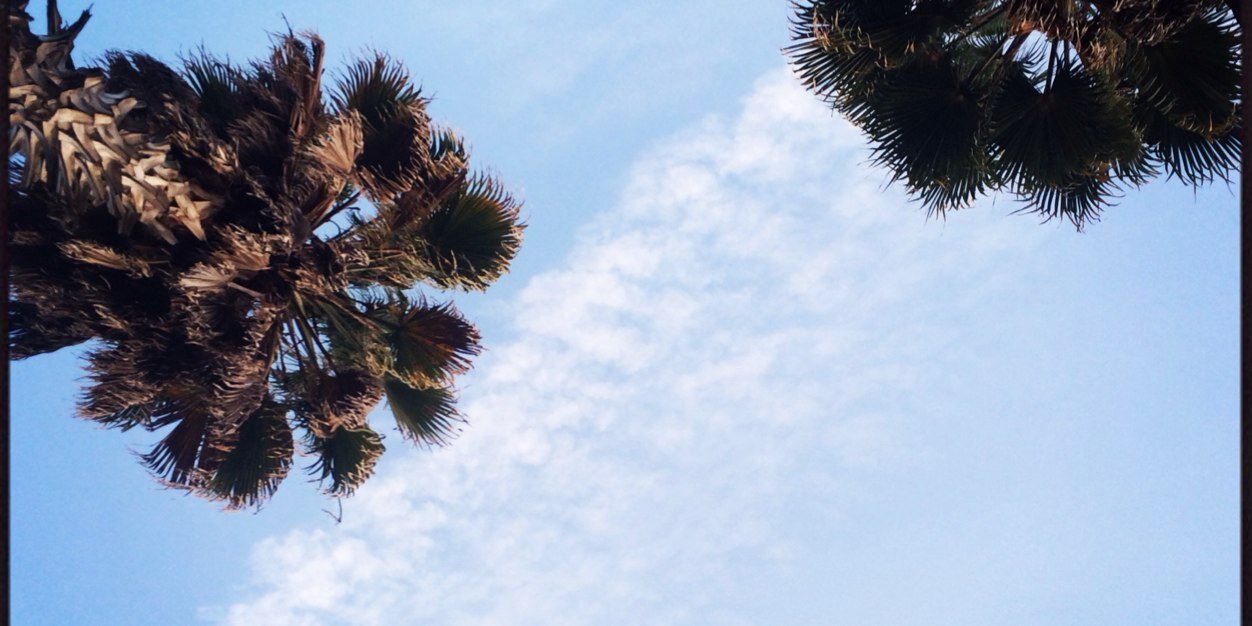 allisonamick's profile banner image