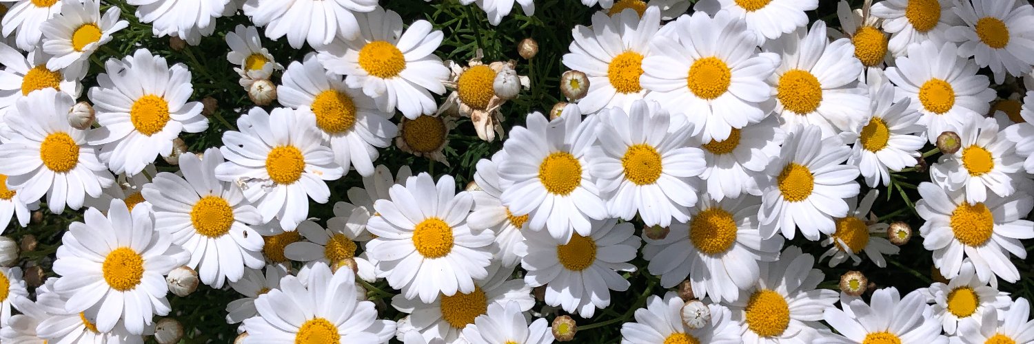 PlantstandAZ's profile banner image