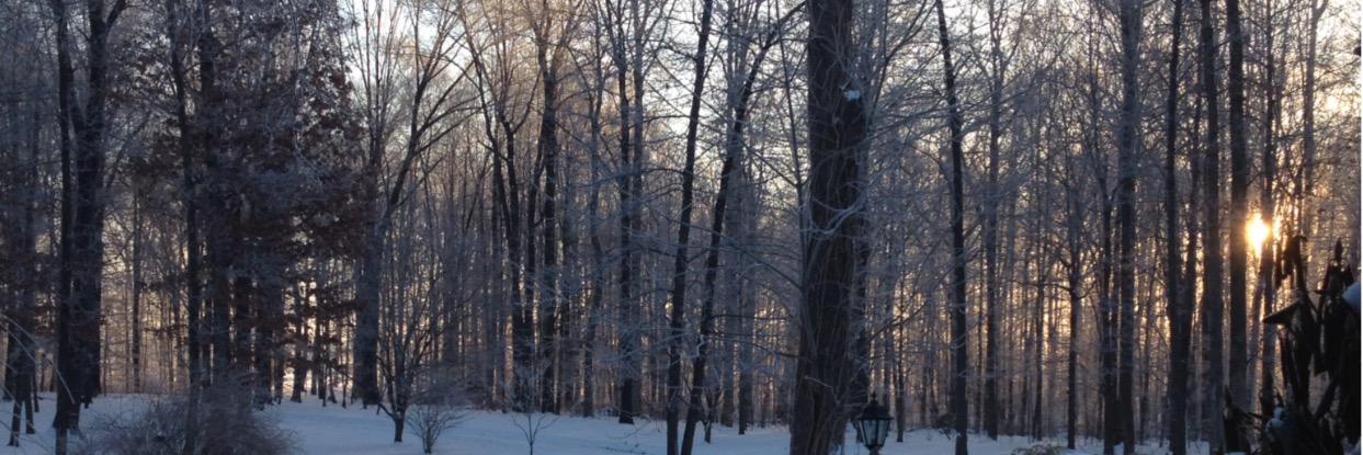 Minnich_Michael's profile banner image