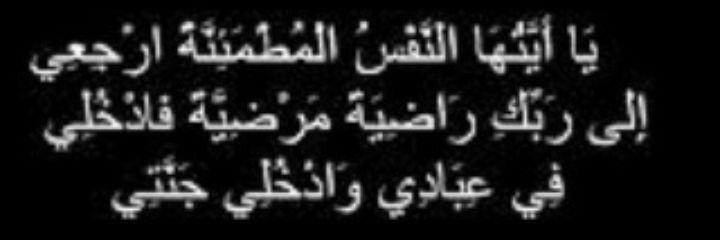 OmSayedAhmed's profile banner image
