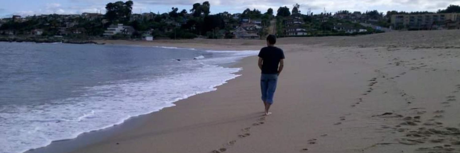 fanaleon's profile banner image