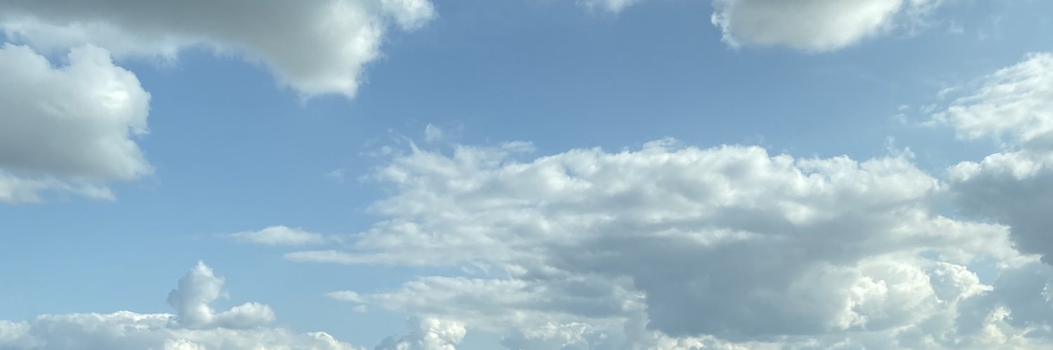 Majid Al Usaimi banner