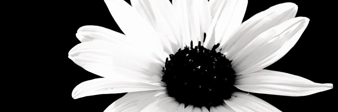 anivargasc's profile banner image