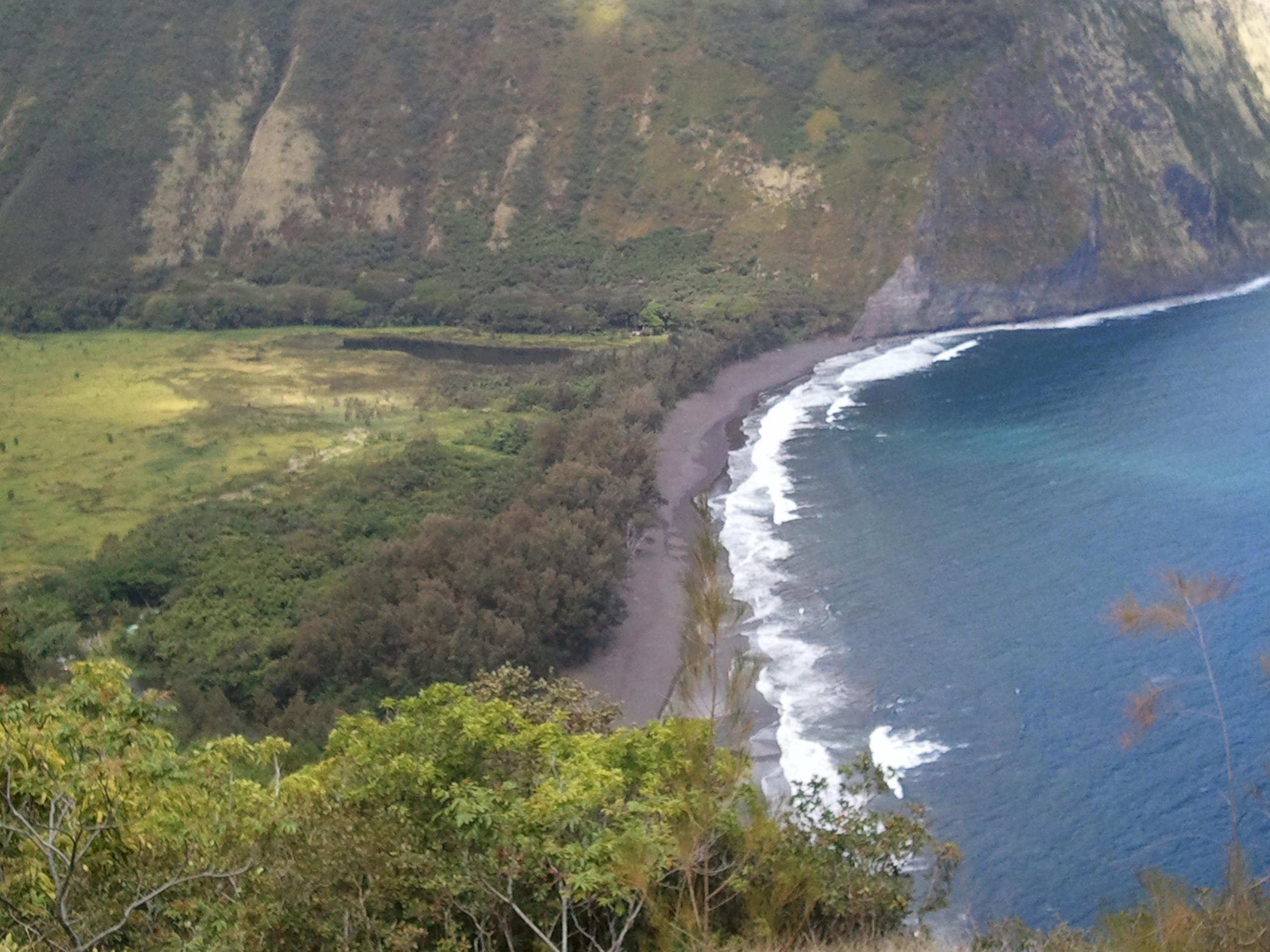 Anare_vuta's profile banner image
