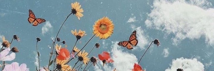 scalucia_'s profile banner image