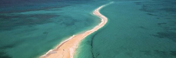 AVonjy Profile Banner