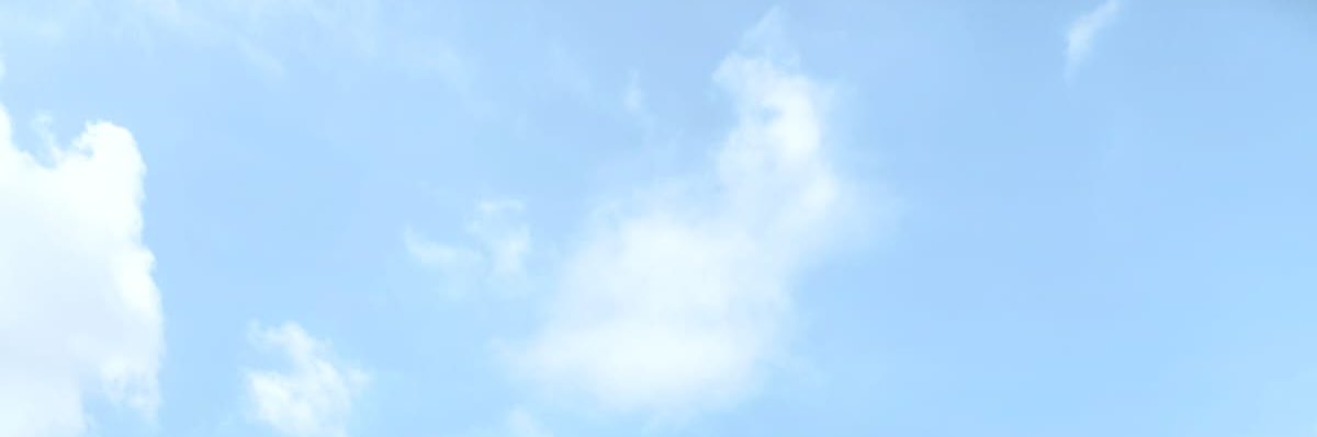 ocha_bella's profile banner image