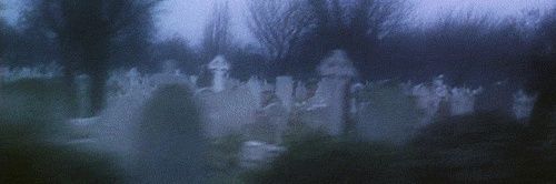 nuthaus_'s profile banner image