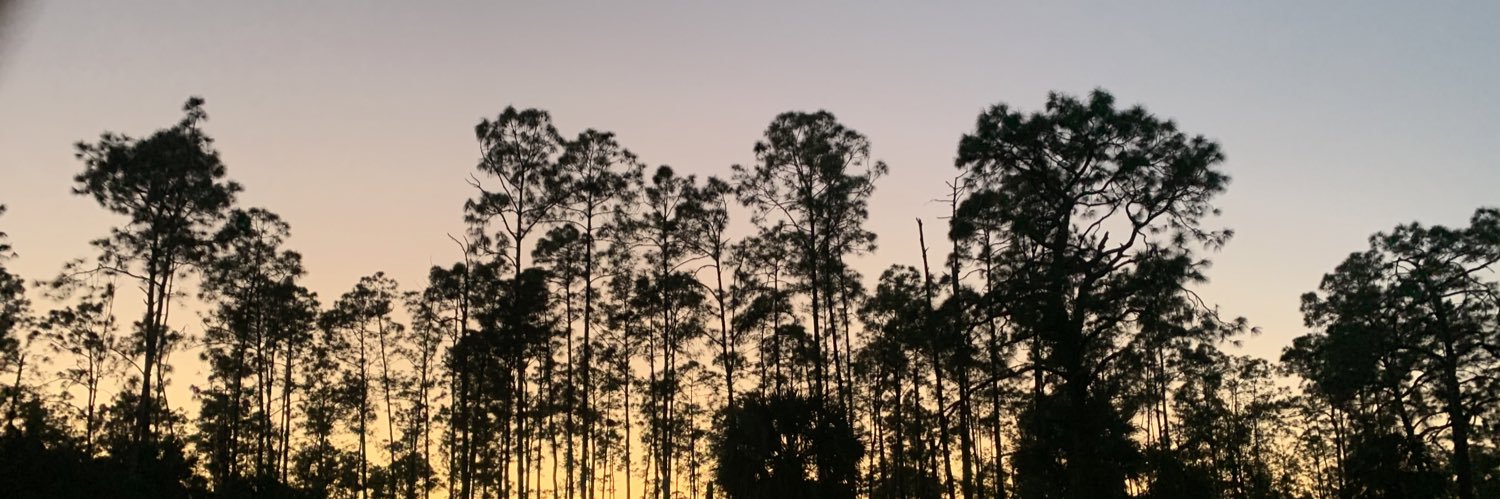 DavAndrus's profile banner image