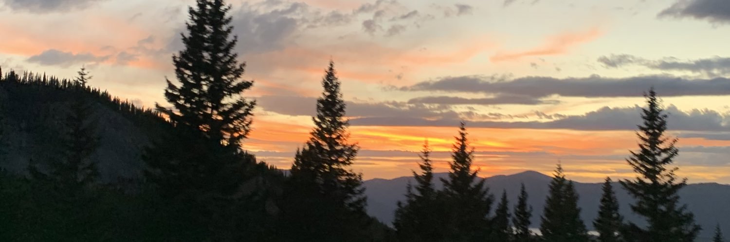 adellelynn_'s profile banner image