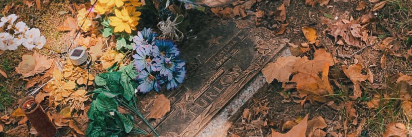 lilshaee_'s profile banner image