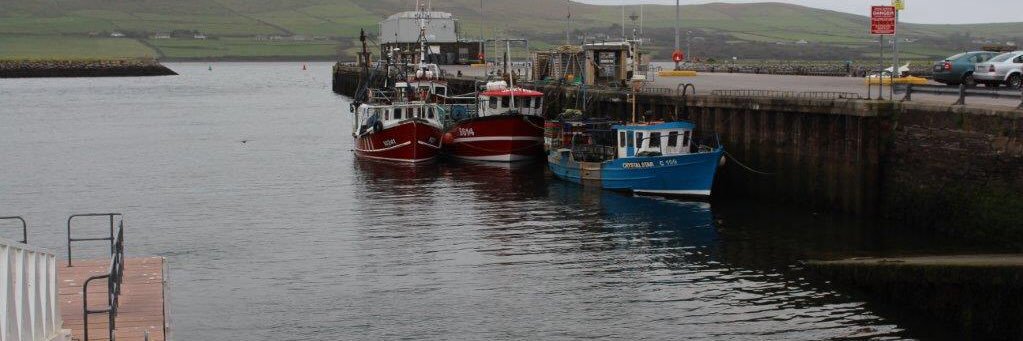 Peadar O'brien banner