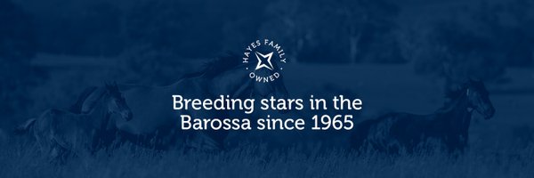 CornerstoneStud Profile Banner