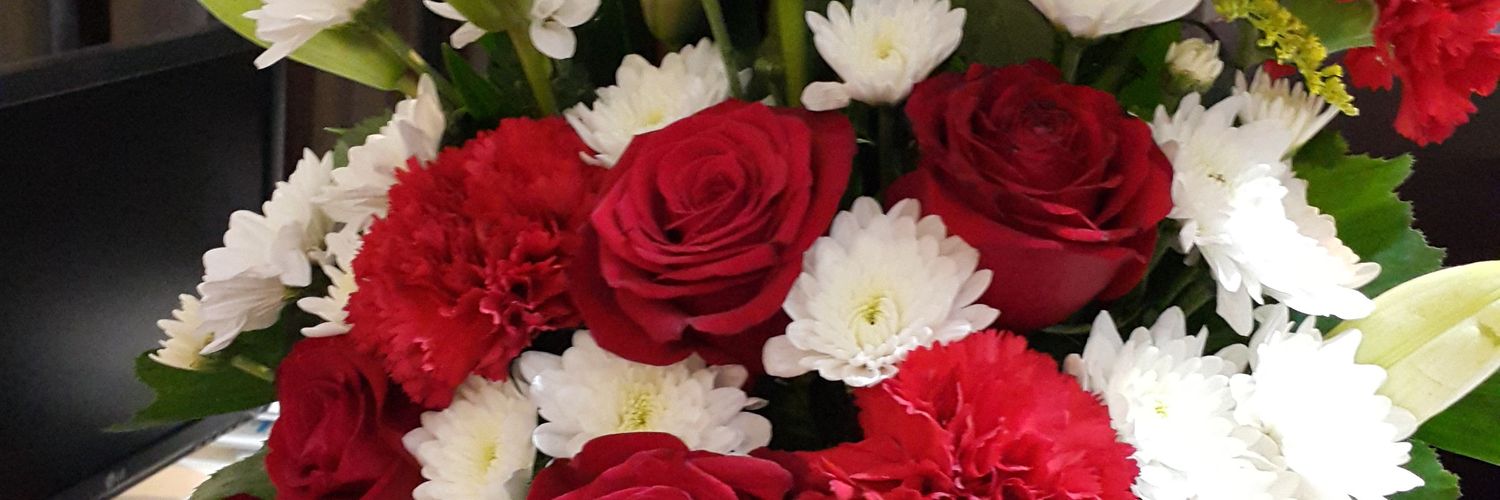 🏕 SILENT FAN🌄 banner