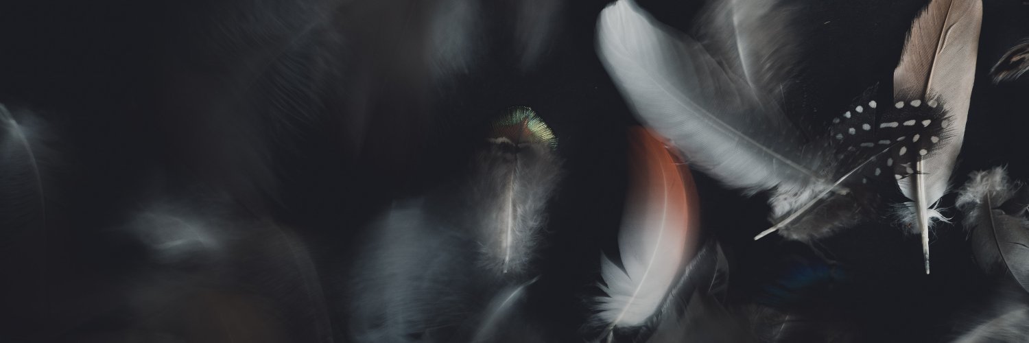 KatoriDi's profile banner image