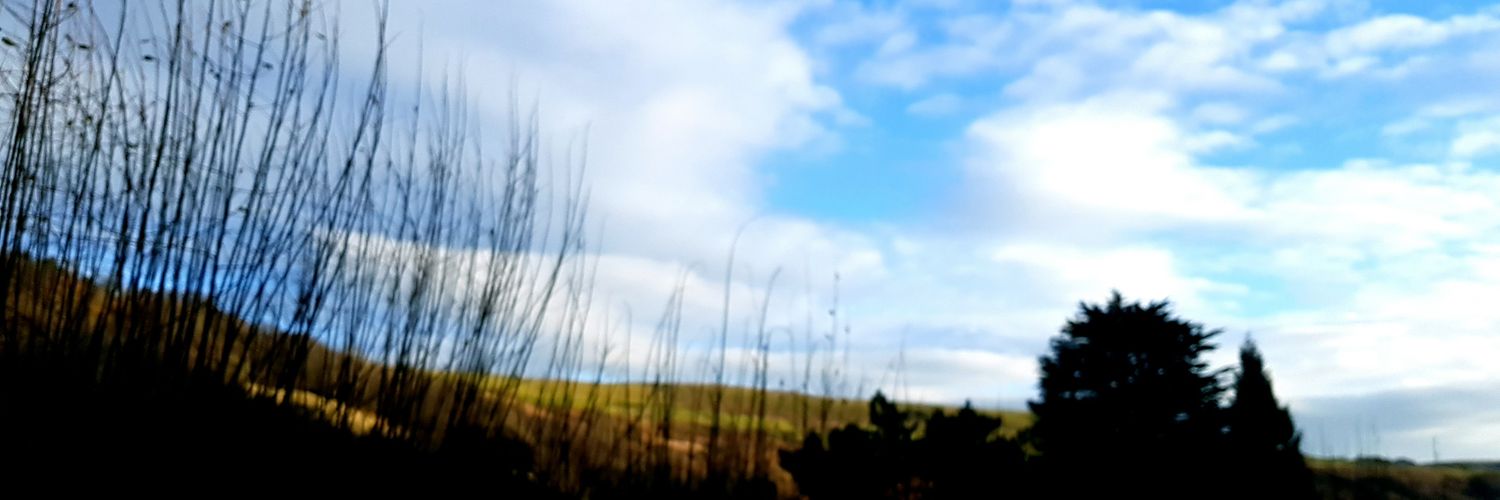 Kaye Jones-Mahoney RGN 💙🌈🏴󠁧󠁢󠁷󠁬󠁳󠁿 banner
