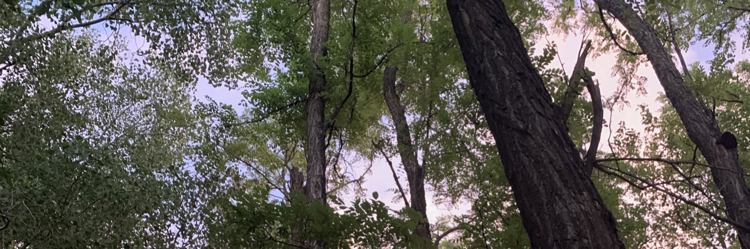 PUNK4GOD's profile banner image