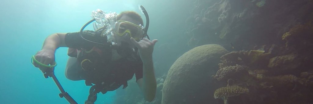 Will McCullough banner