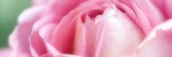 aCsolutaMENTE's profile banner image