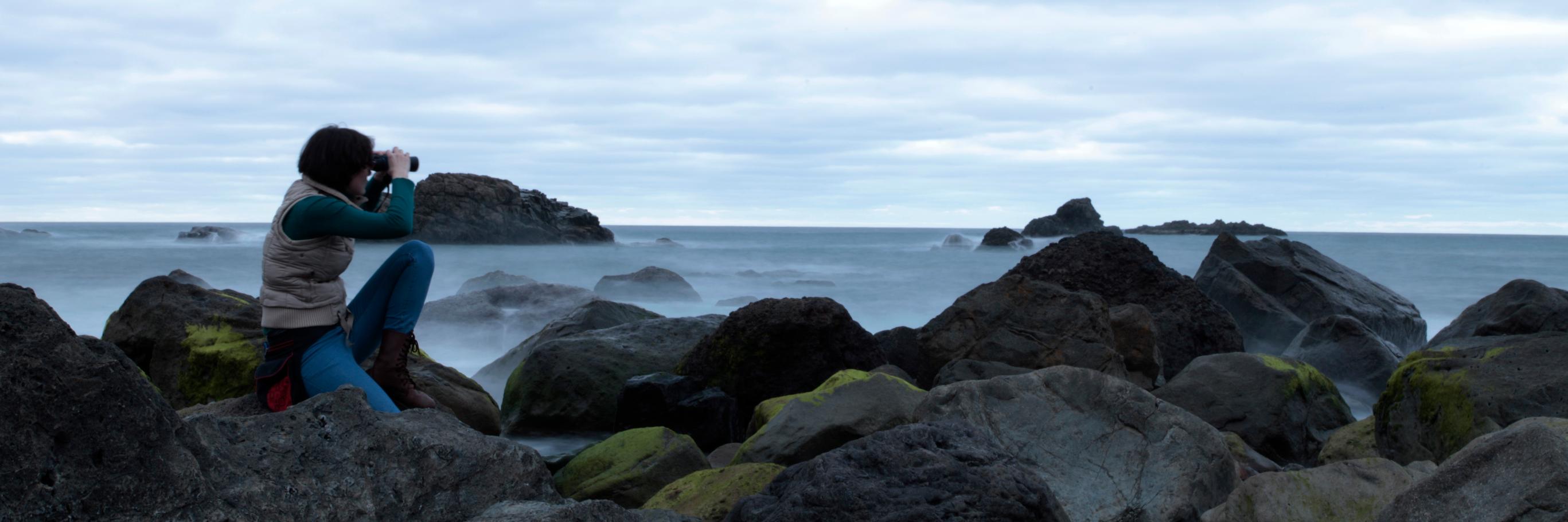 LauraIzzi's profile banner image