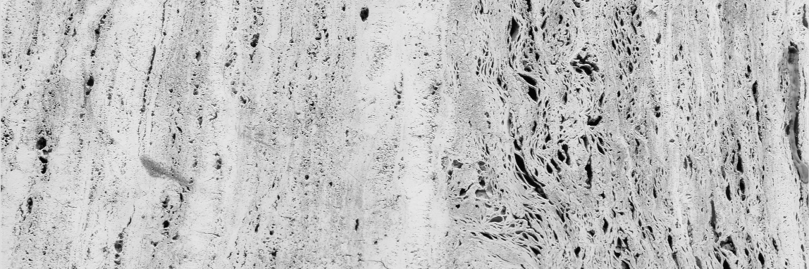 DPTR__'s profile banner image