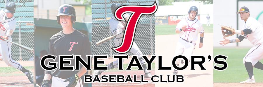 TaylorsBaseball's profile banner image