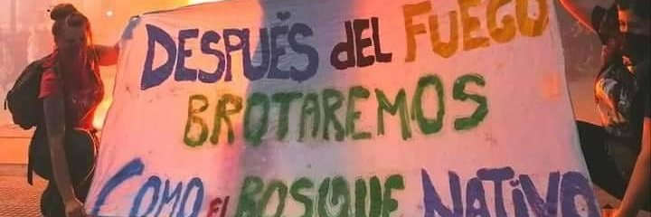 nicolasctovar's profile banner image