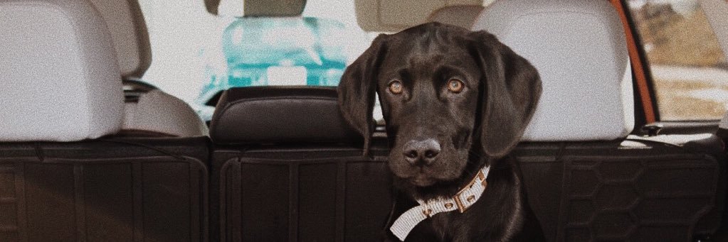HannahUbert's profile banner image