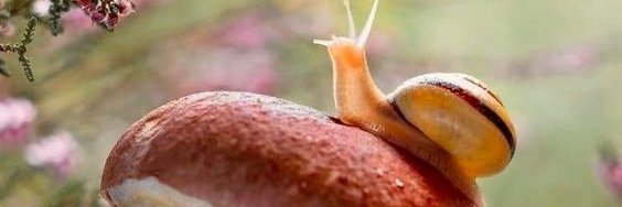 Davidcecytol's profile banner image