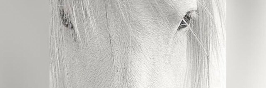Balhowaish_'s profile banner image