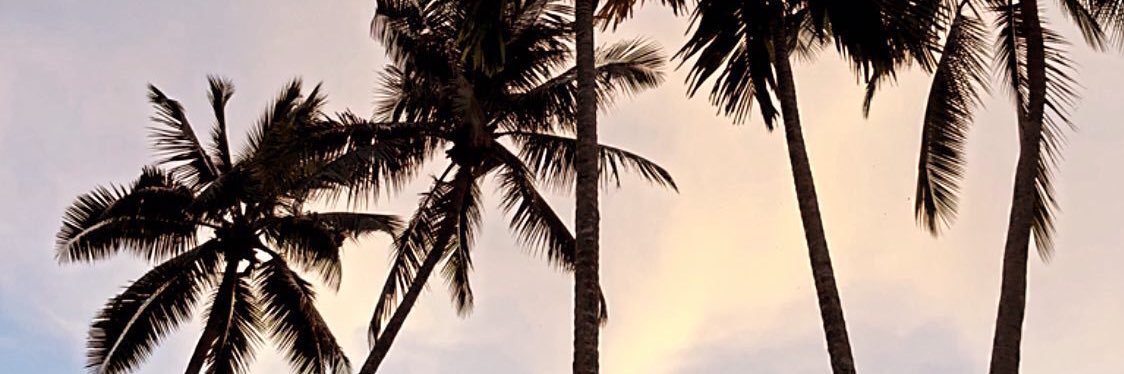 nejeec's profile banner image