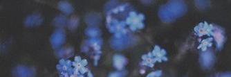 oloolooo's profile banner image