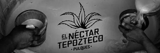 NectarTepozteco's profile banner image