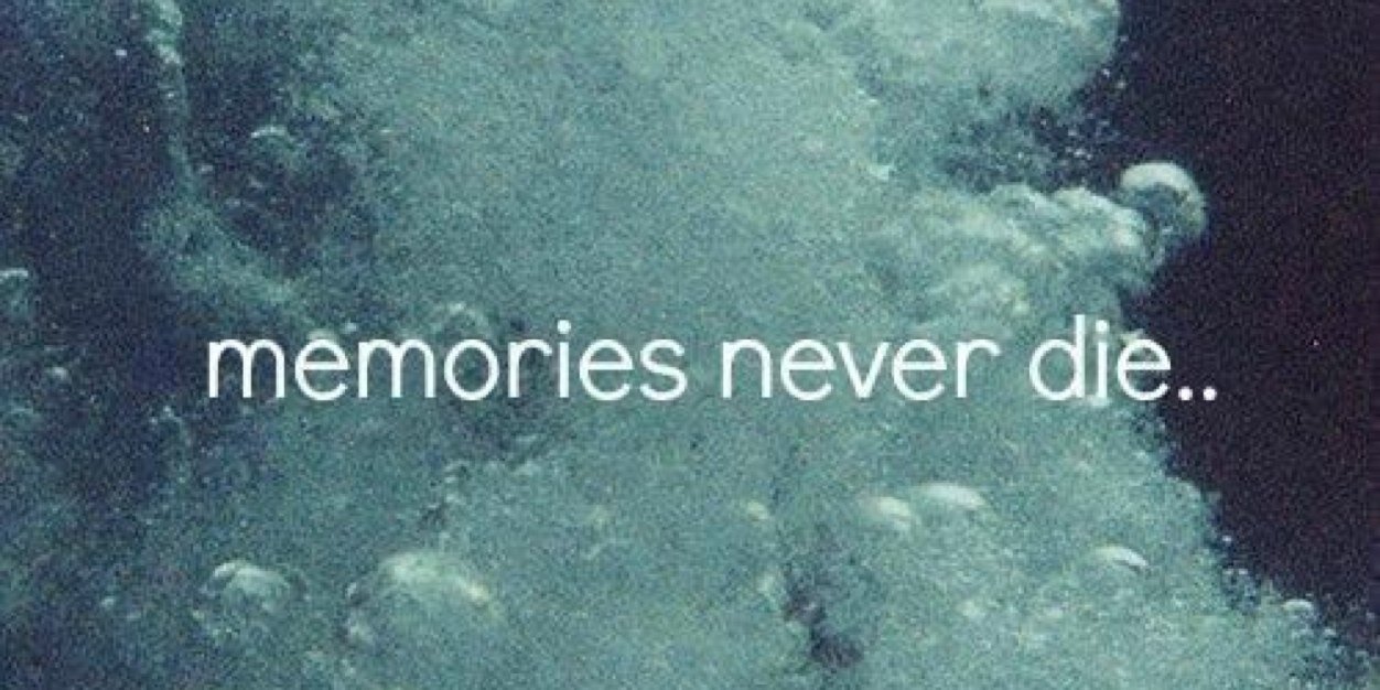 MissStephLouise's profile banner image
