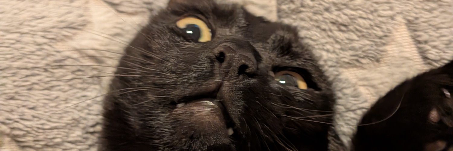GeekiCat's profile banner image