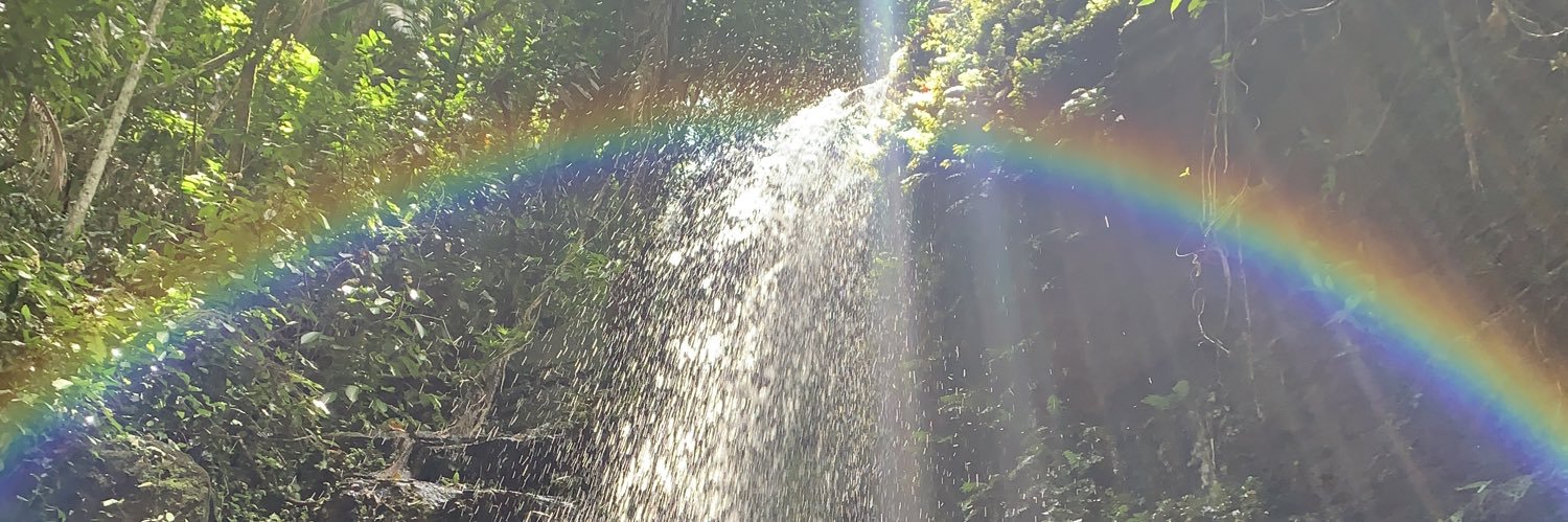 BnsDr's profile banner image