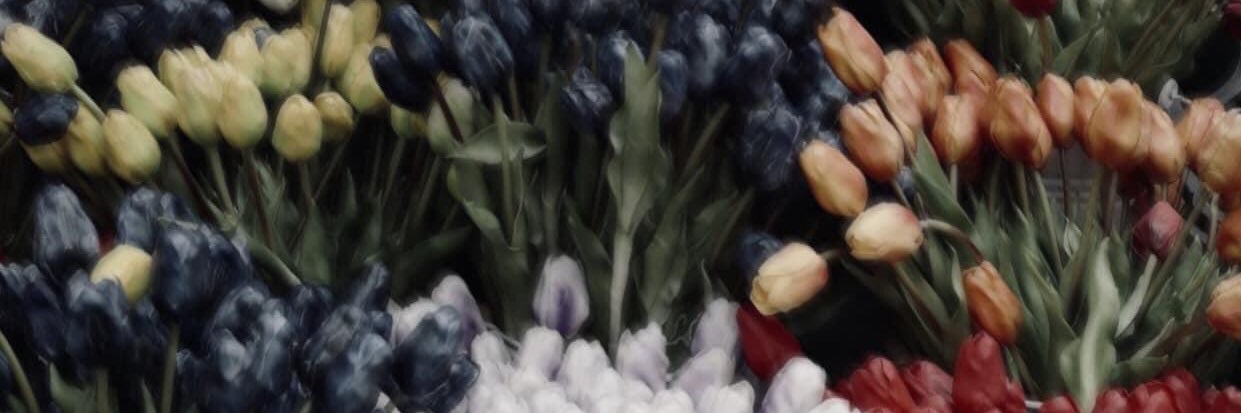 ughlex15's profile banner image