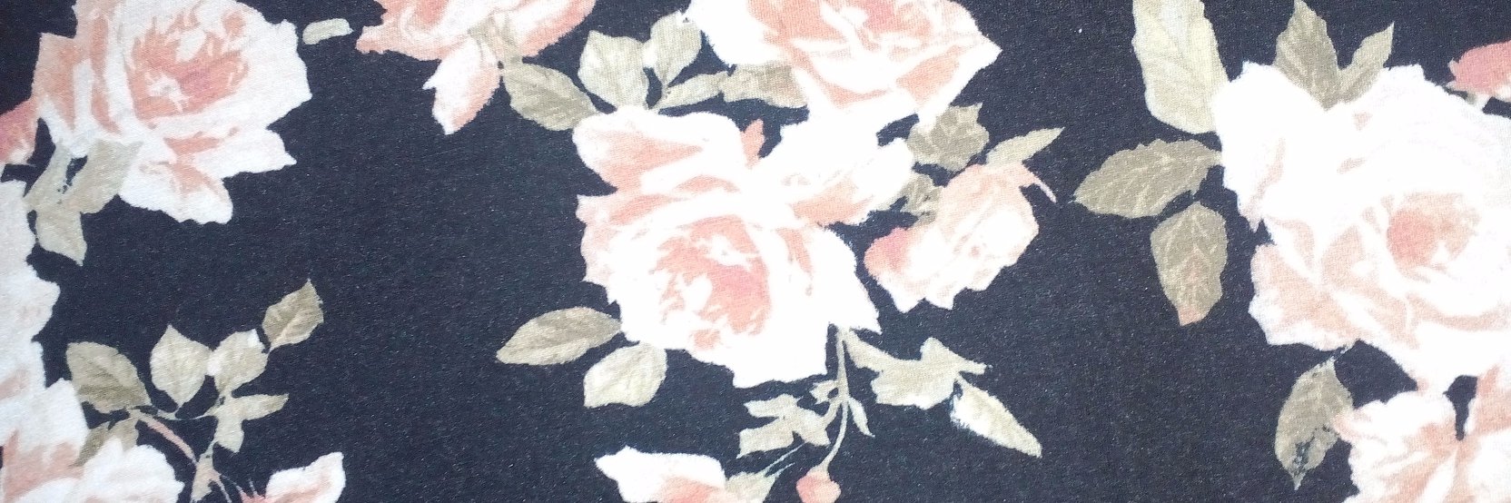 YoungOldMaid's profile banner image