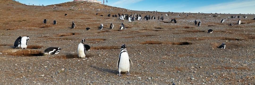 Hope_it_Up's profile banner image