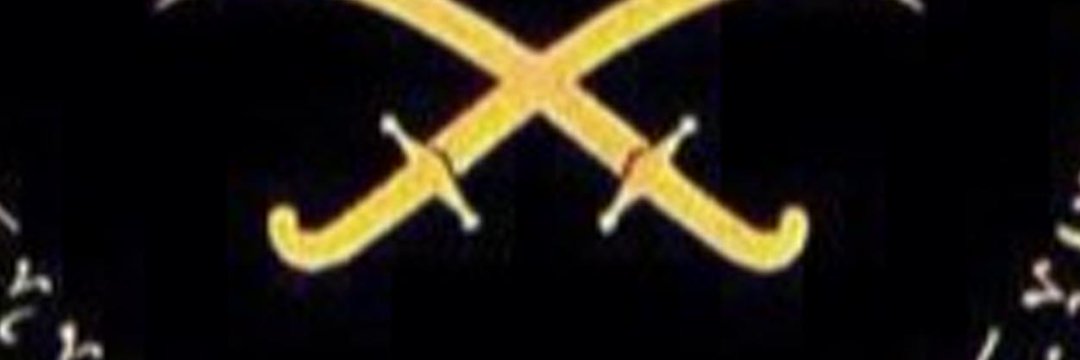Amelia banner
