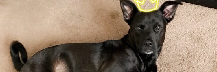 ChelseaJadee_'s profile banner image