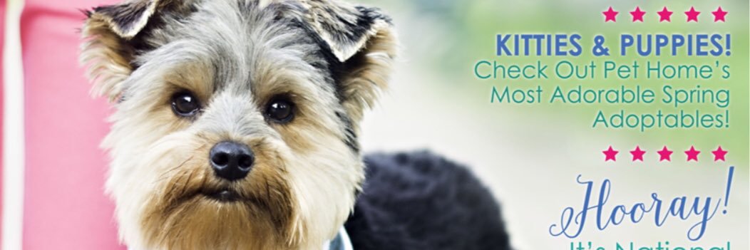 PetHomeMagazine's profile banner image
